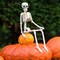 Halloween Decoration Outdoor 2 Pack Skeleton, 16" Plastic Posable Skeleton